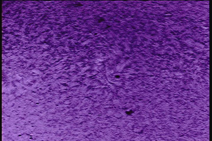 solar05212011.jpg